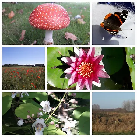 La Résidence Des Fleurs Apartamento *