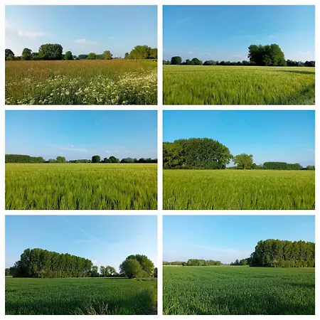 La Résidence Des Fleurs Lecelles