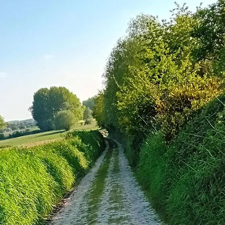 La Résidence Des Fleurs